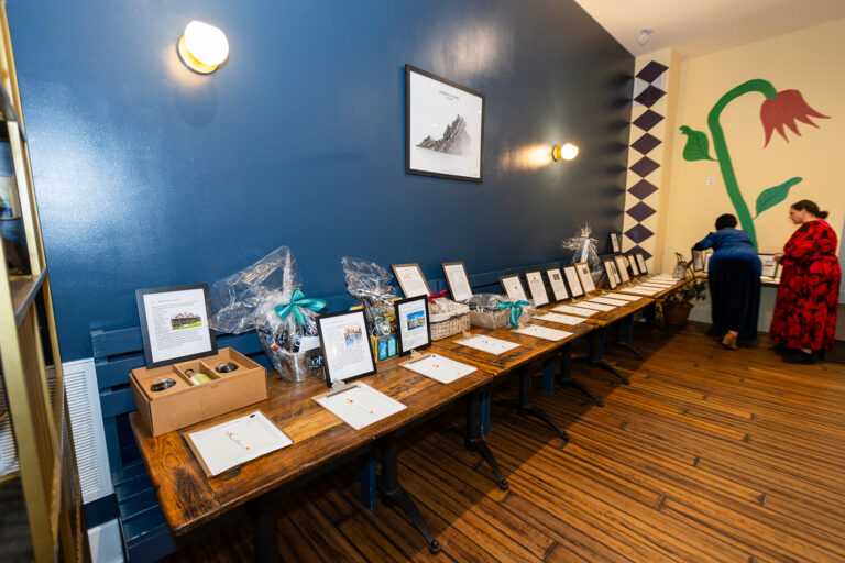 Loudoun Cares Art Auction 2025