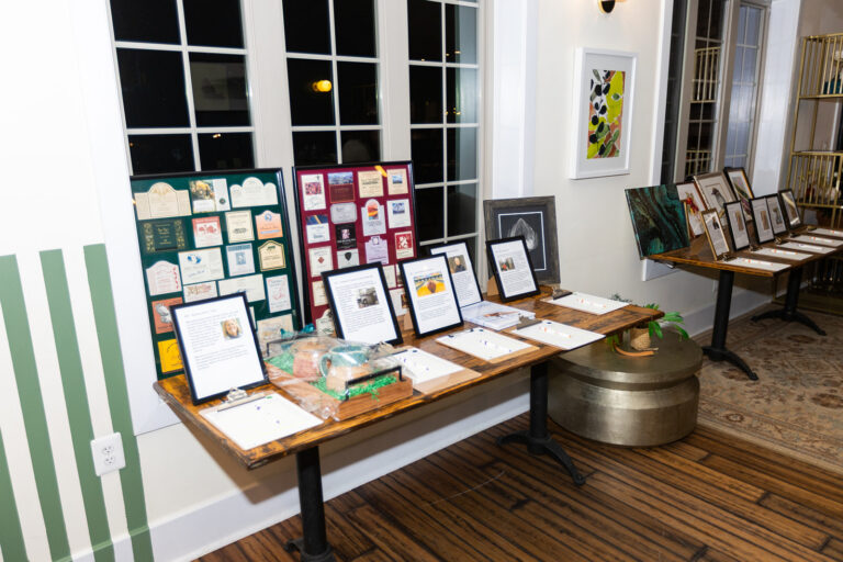 Loudoun Cares Art Auction 2025